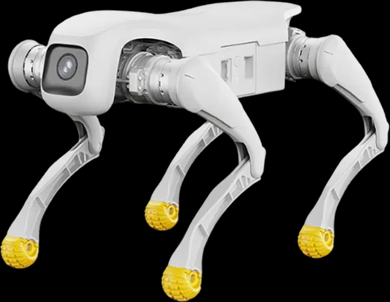 AGIBOT D1 EDU quadruped with a front-facing camera and yellow foot pads, front three-quarter view
