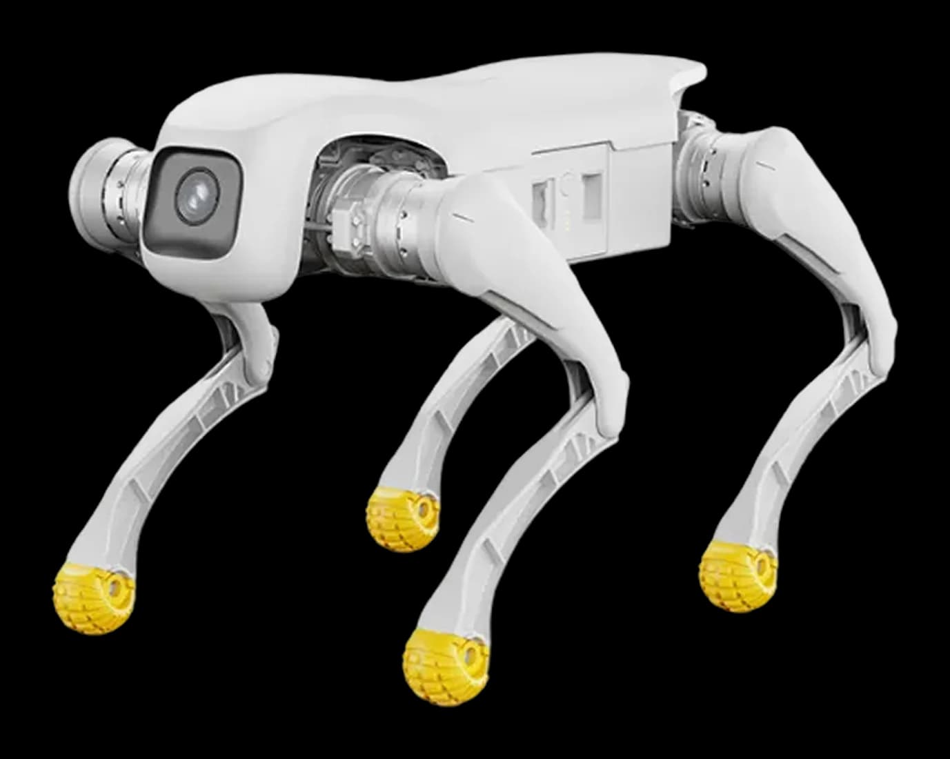 AGIBOT D1 EDU quadruped robot, side view
